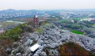 佘山国家森林公园门票 佘山国家森林公园门票